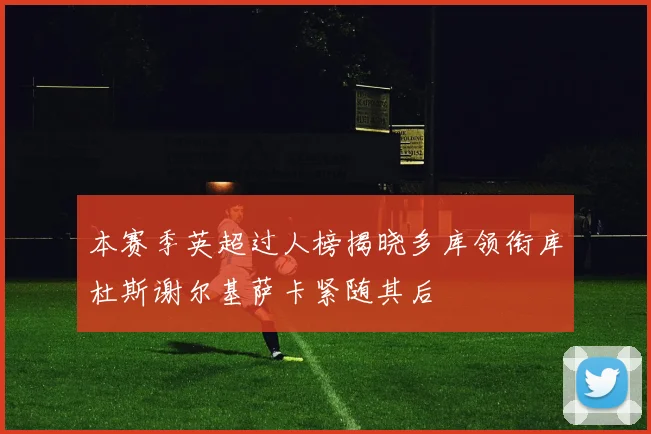本赛季英超过人榜揭晓多库领衔库杜斯谢尔基萨卡紧随其后