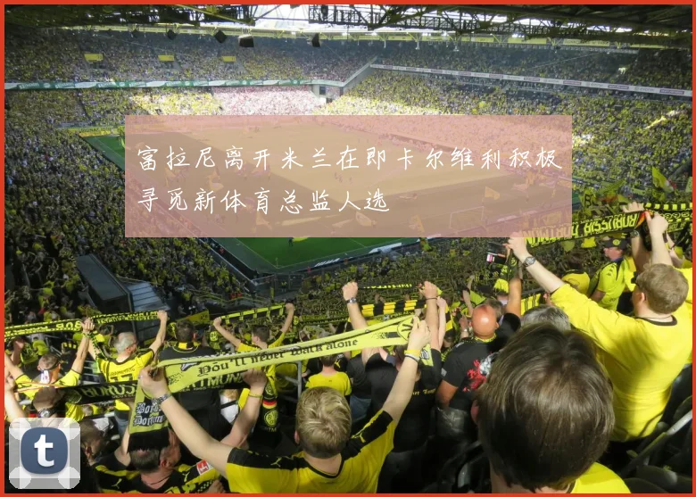 富拉尼离开米兰在即卡尔维利积极寻觅新体育总监人选